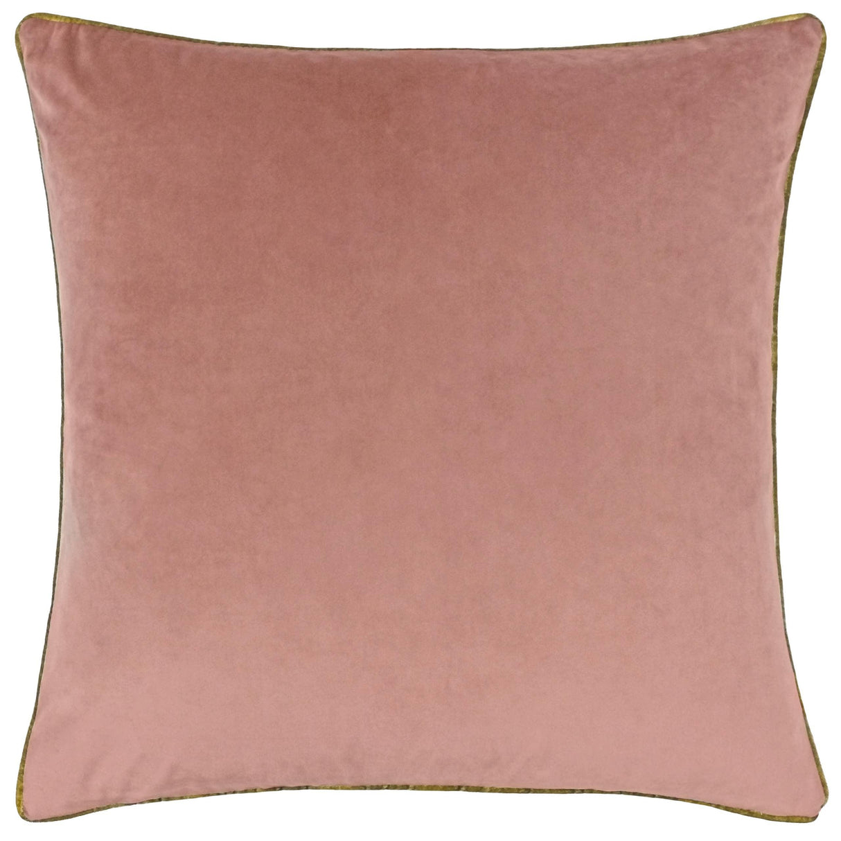 Riva Home - Meridian Velvet Cushion Blush/Gold: Blush/Gold / Polyester Filled / 55 x 55cm.