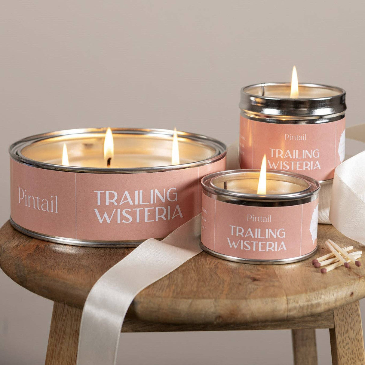 Trailing Wisteria Paint Pot