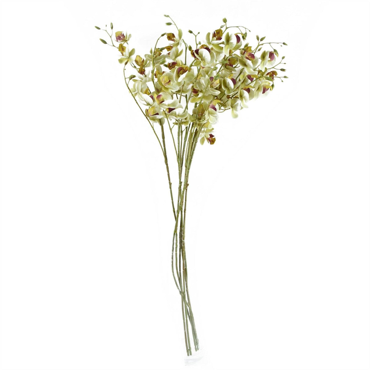 Cream Mini Orchid Stem 80cm