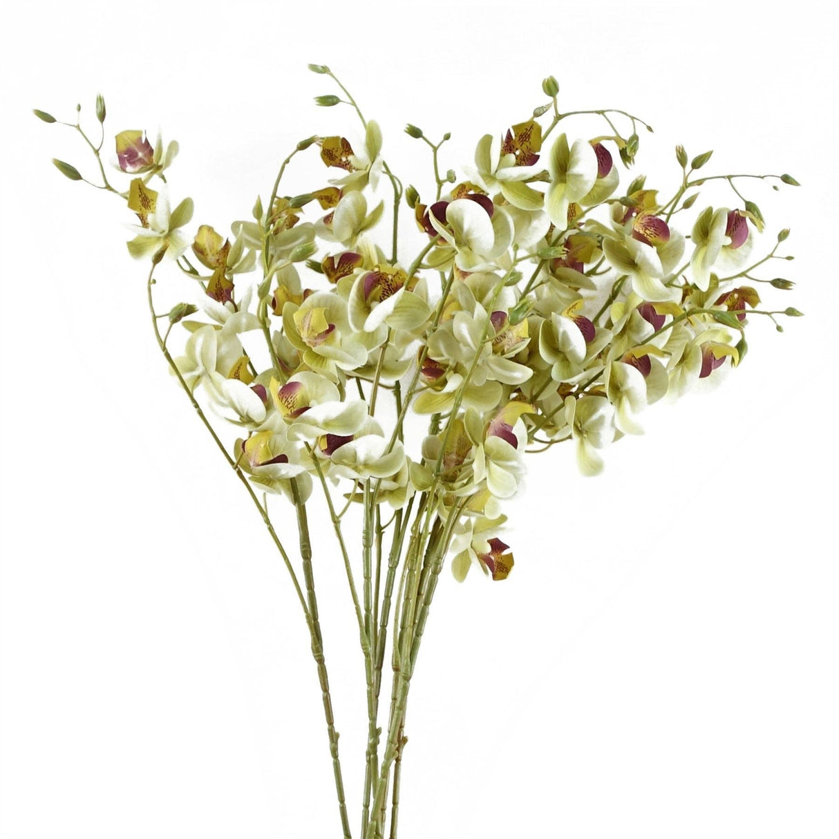 Cream Mini Orchid Stem 80cm