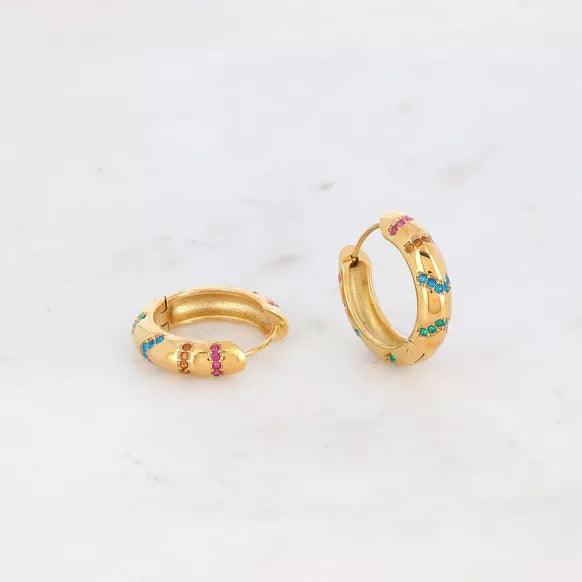 Multi Coloured Earrings.