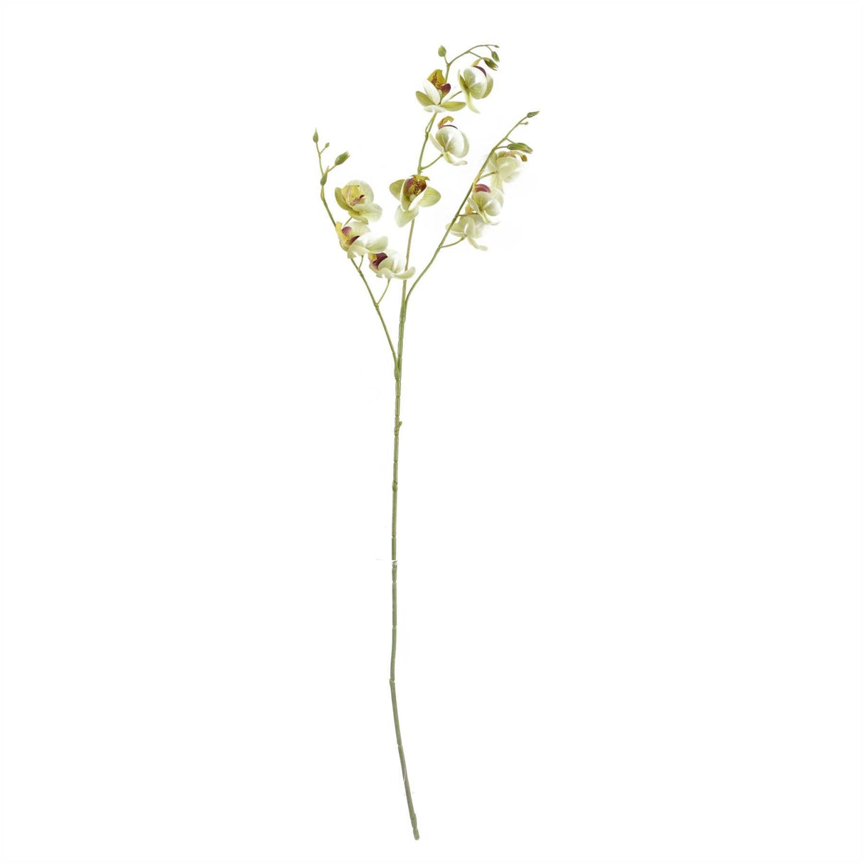 Cream Mini Orchid Stem 80cm