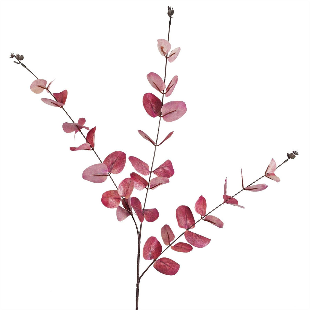 Pink Eucalyptus Foliage Stem – 80cm Artificial Floral Stem