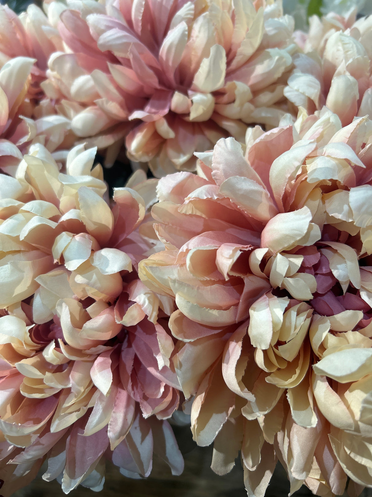 75cm Extra Large Reflex Chrysanthemum – Pink