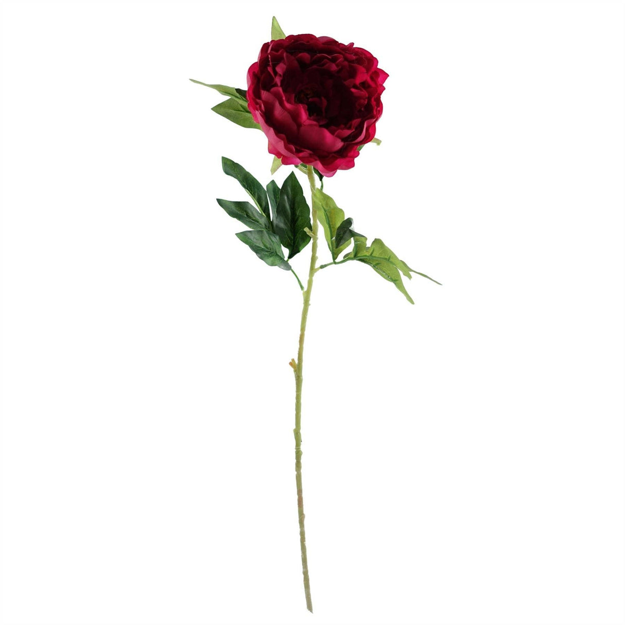 Dark Pink Peony Stem 80cm