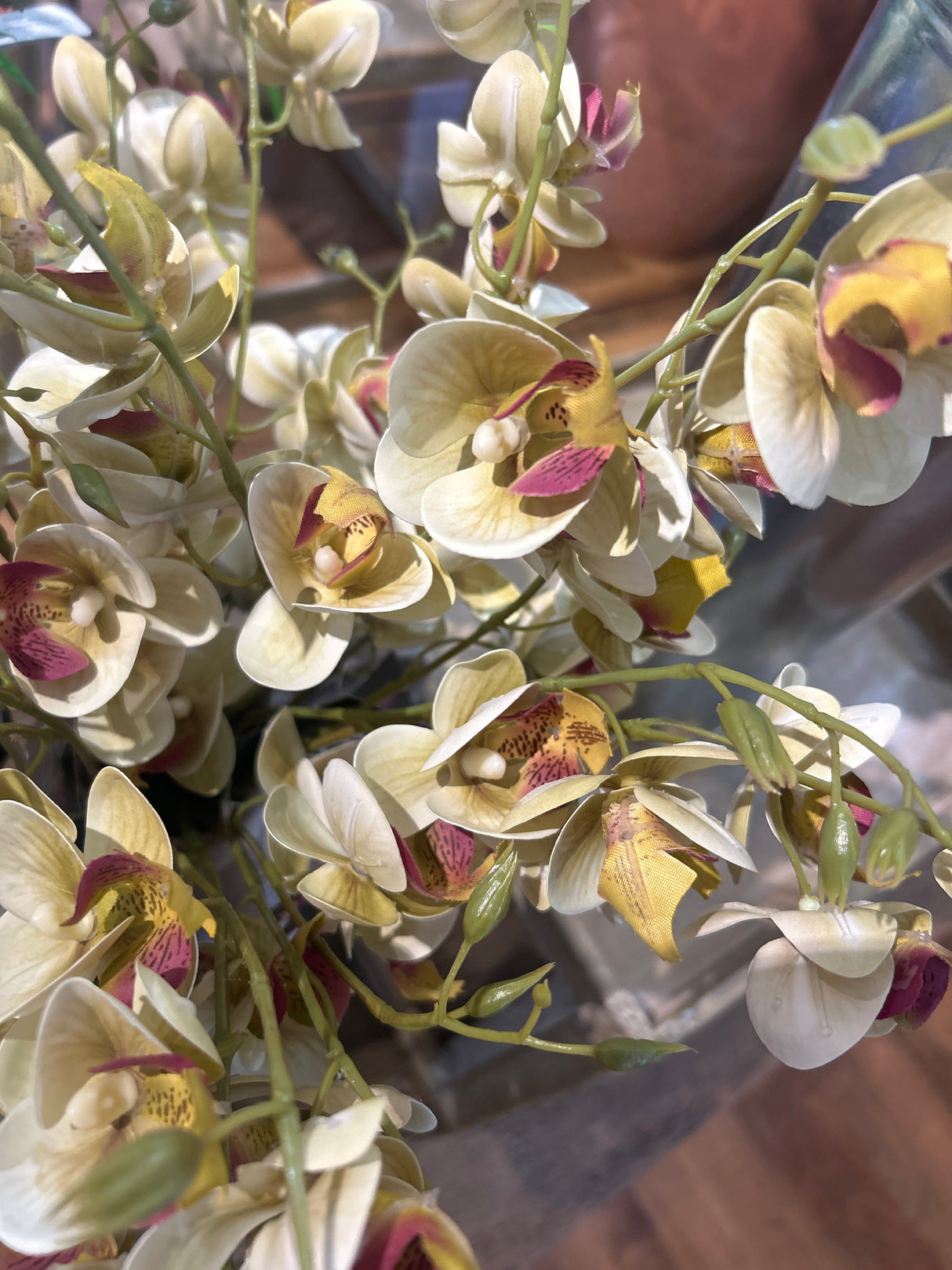 80cm Cream Artificial Mini Orchid Stem