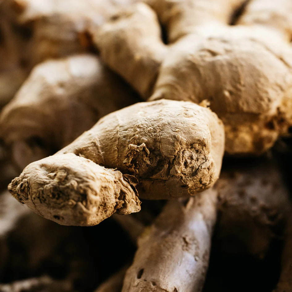 St Eval Ginger and Lemongrass Scented Candle Tin