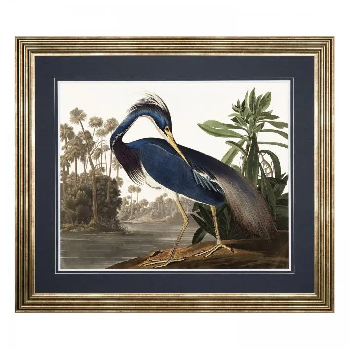 Louisiana Heron Framed Art