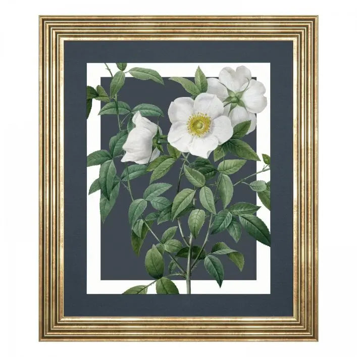 Rosa Nivea Framed Canvas