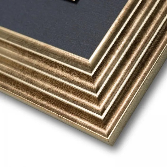 Rosa Nivea Framed Canvas