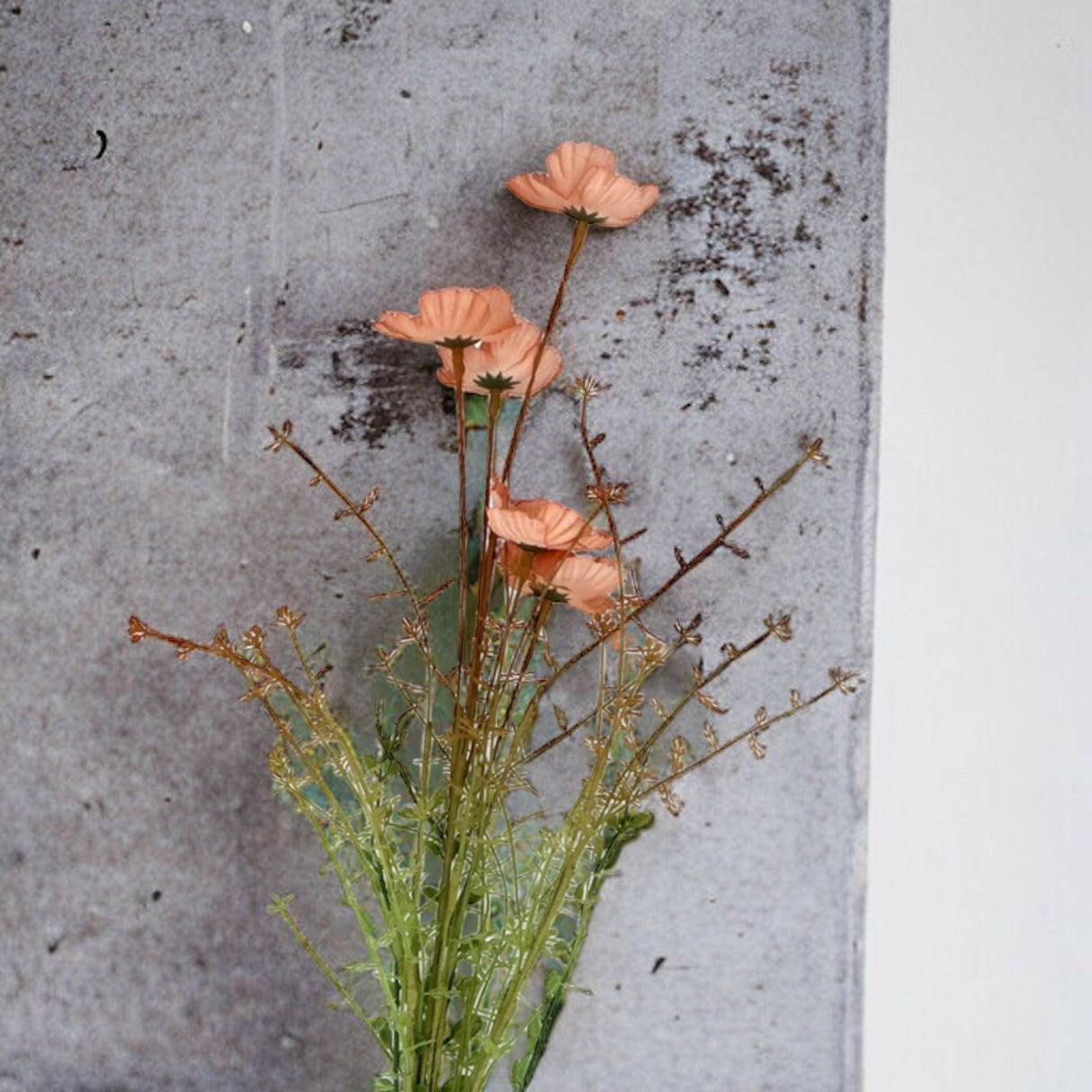 Apricot Wild Rose Spray.