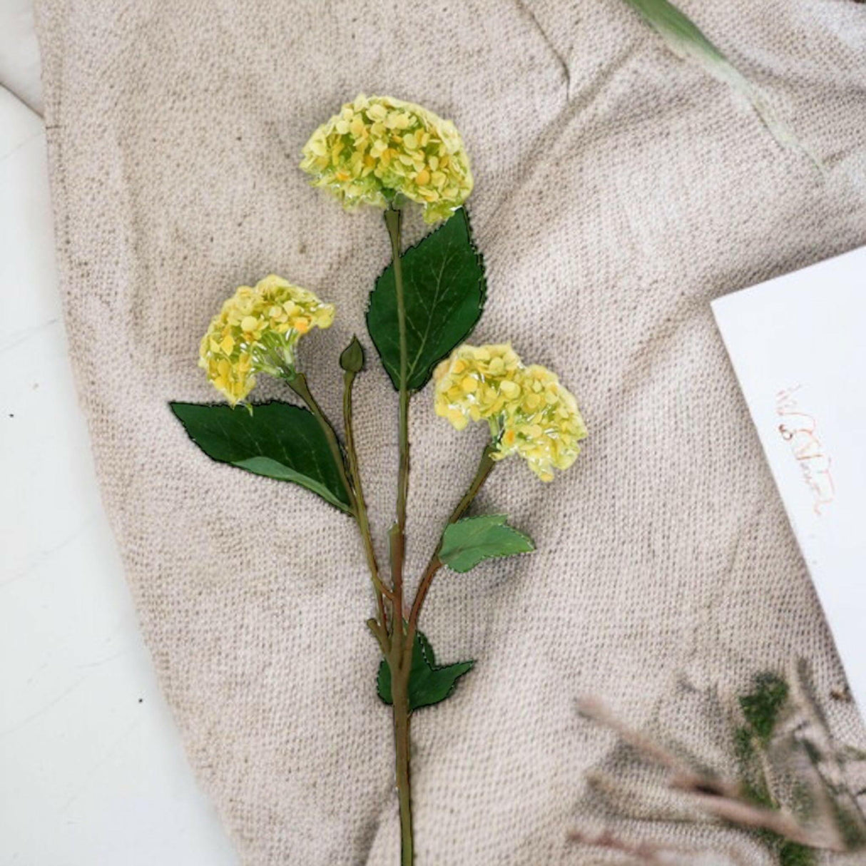 Yellow Snowball Spray.