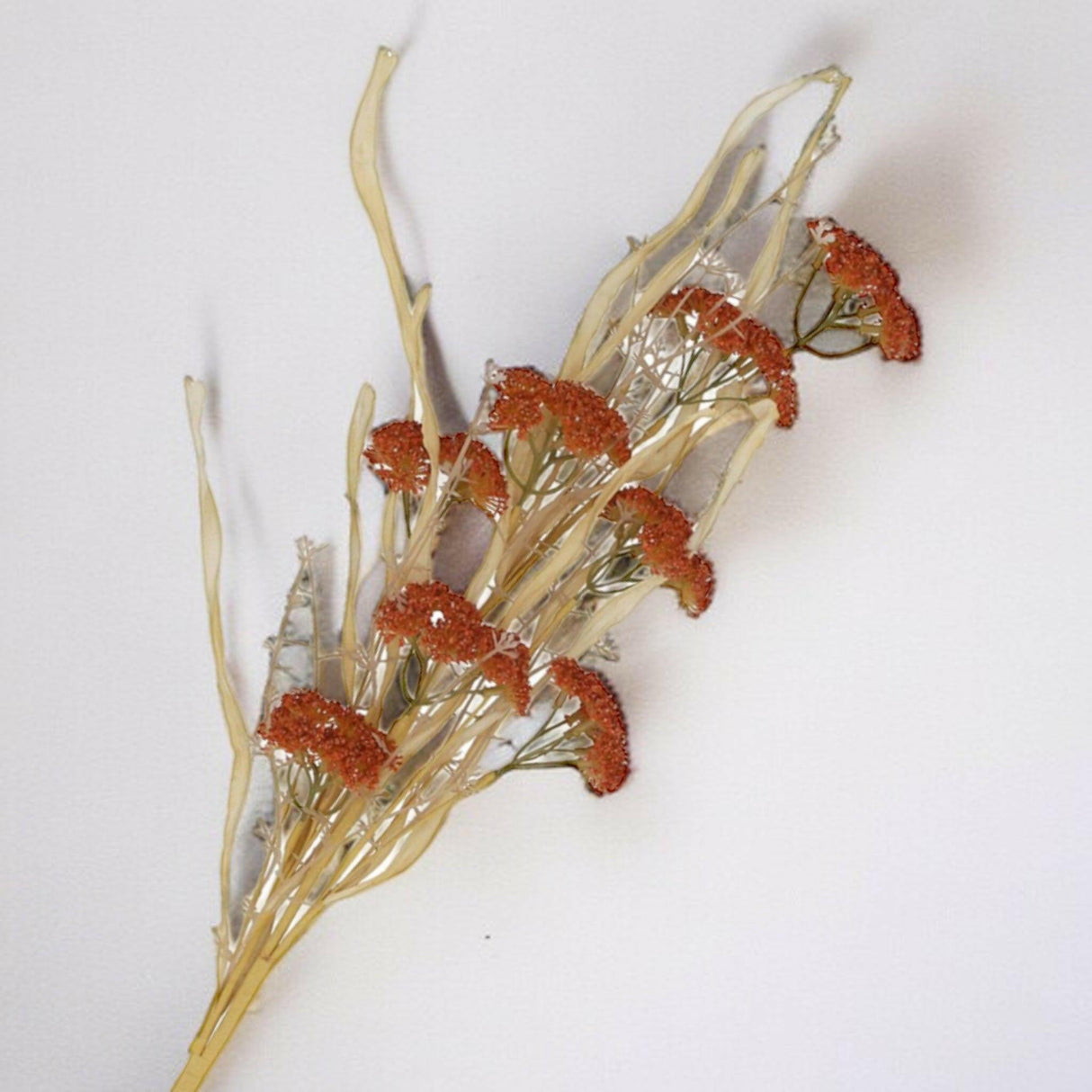 Orange Wild Achillea Spray.