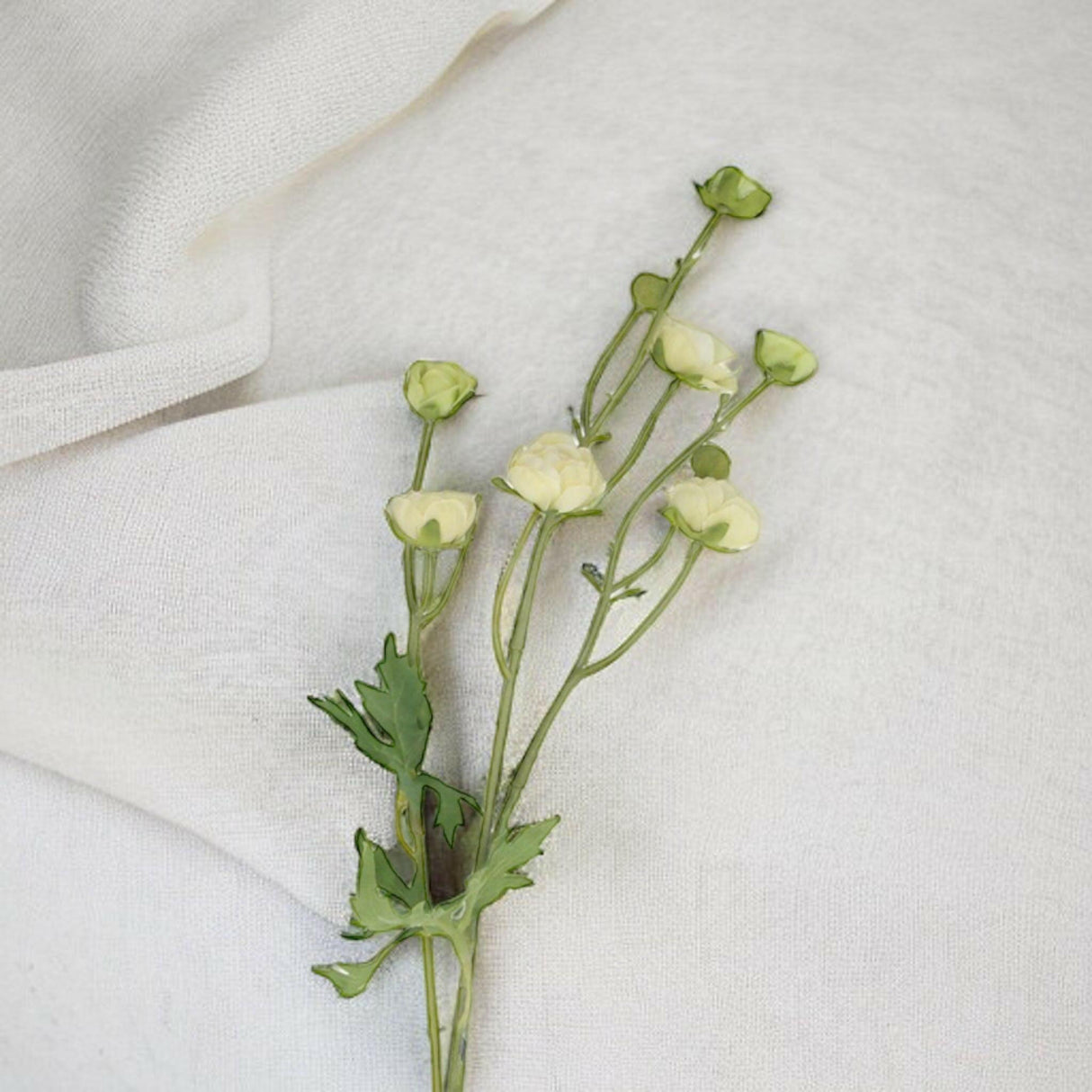 White Mini Ranunculus Spray.