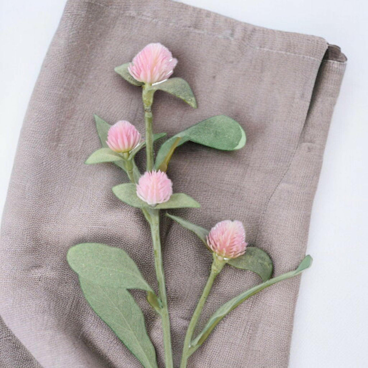 Pale Pink Amaranth Stem.