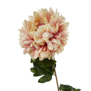 75cm Extra Large Reflex Chrysanthemum – Pink