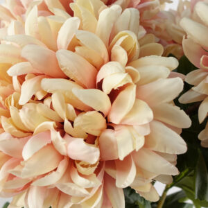 75cm Extra Large Reflex Chrysanthemum – Pink