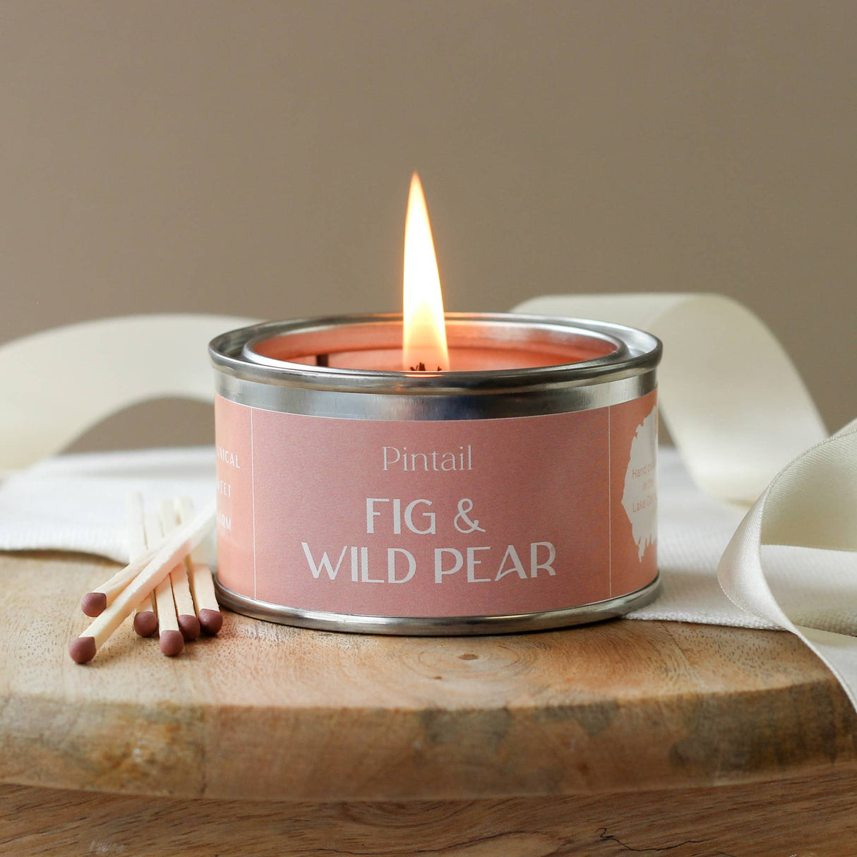 Fig and Wild Pear Paint Pot Candle