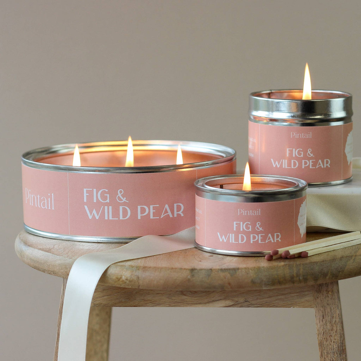 Fig and Wild Pear Paint Pot Candle