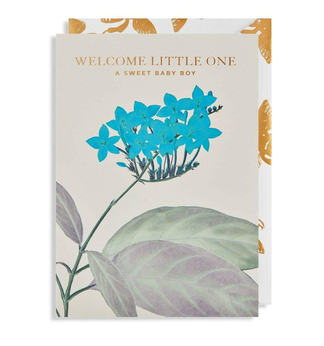 A Beautiful Baby Boy Greeting Card.