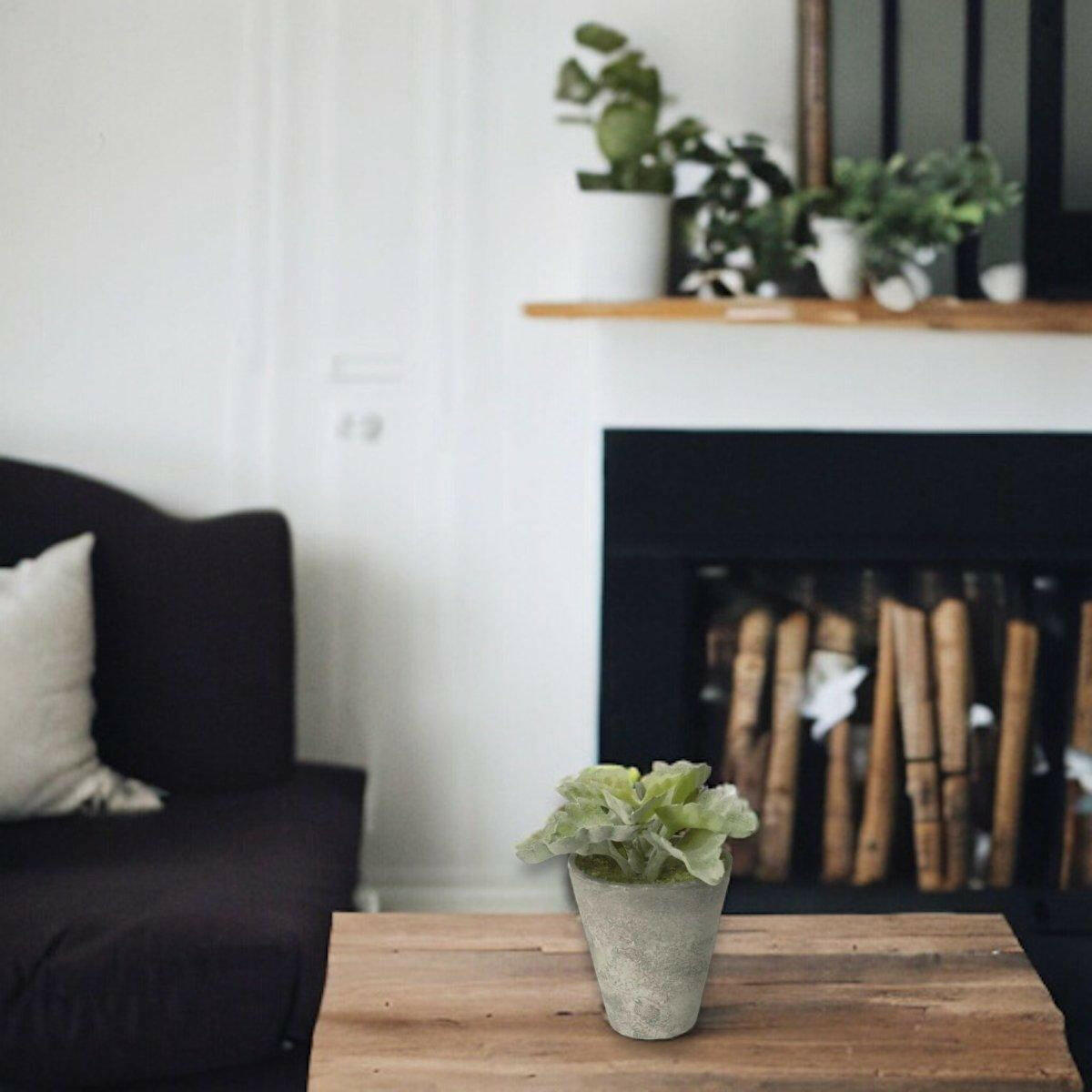 Artificial Echeveria Succulent Pot.