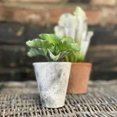 Artificial Echeveria Succulent Pot.