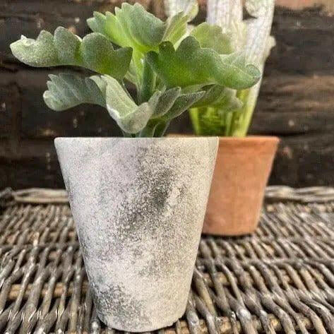 Artificial Echeveria Succulent Pot.