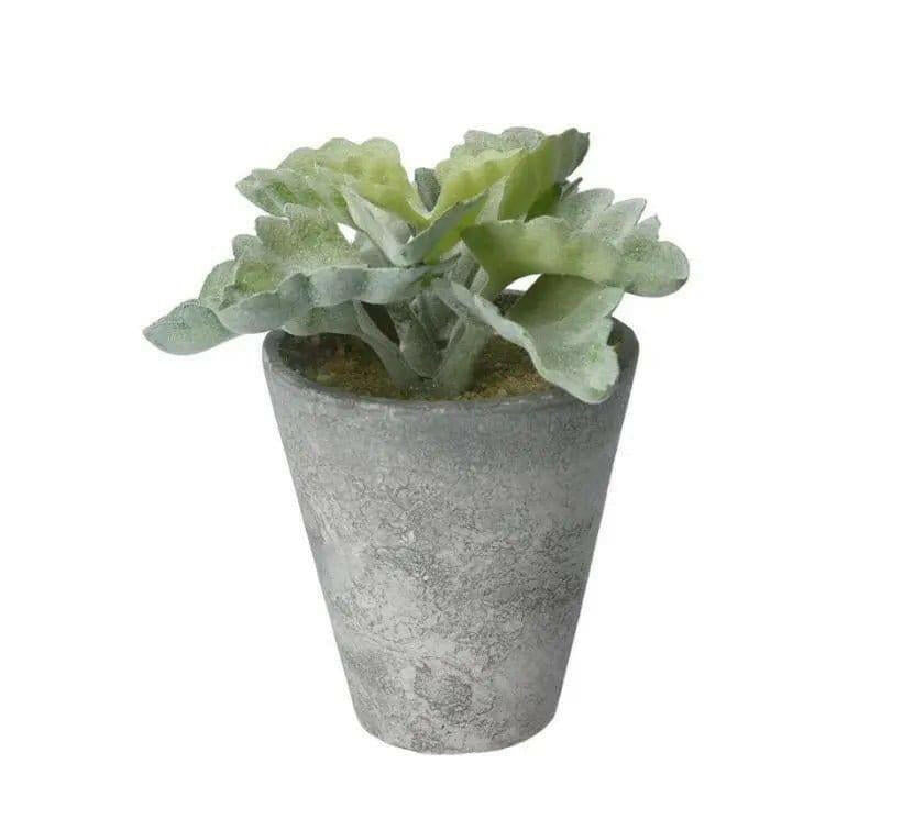 Artificial Echeveria Succulent Pot.