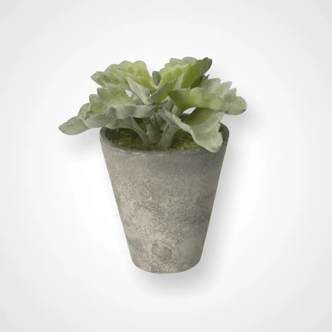 Artificial Echeveria Succulent Pot.