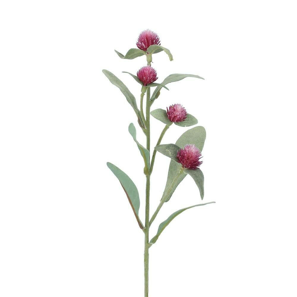 Dark Pino Amaranth Stem - Persora