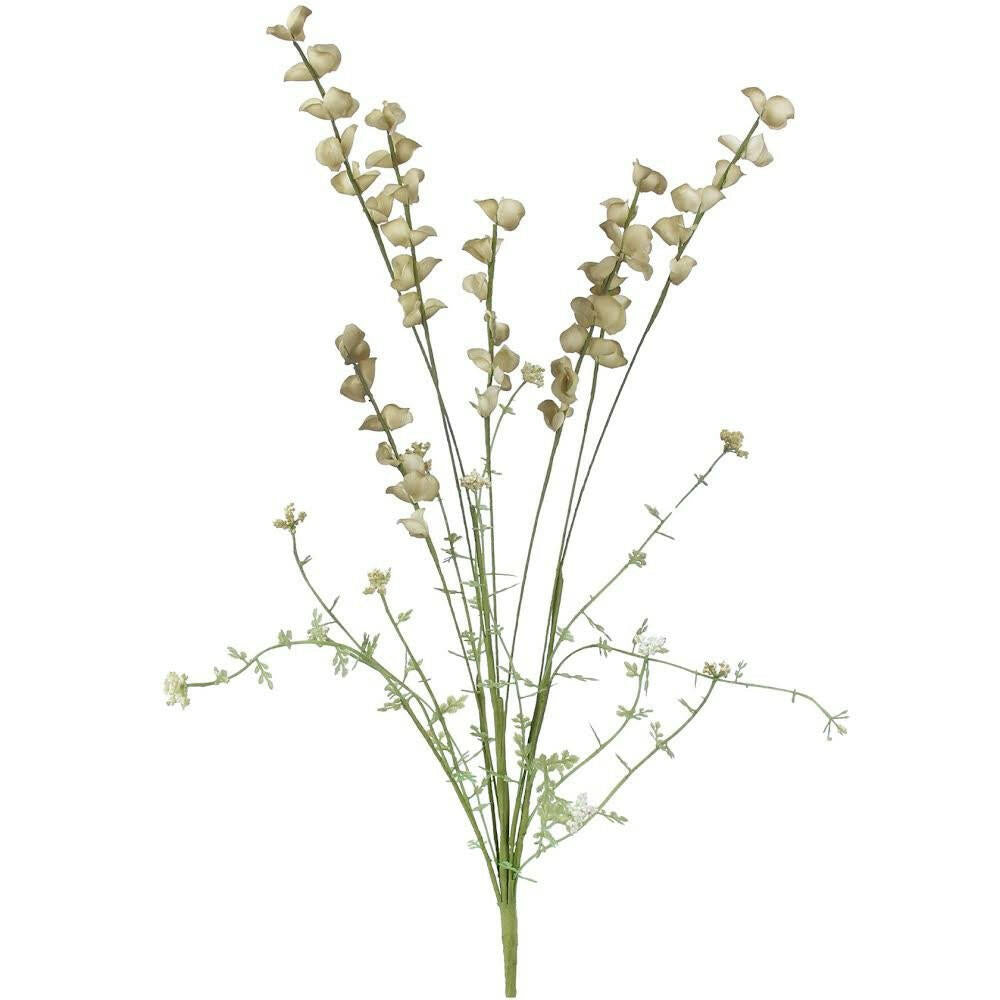 Green Wild Lupin Stem - Persora