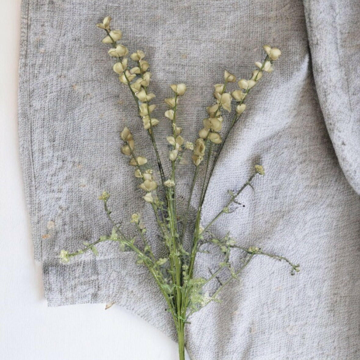 Green Wild Lupin Stem - Persora