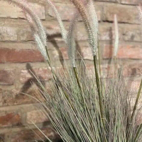 Potted Faux Onion Grass.