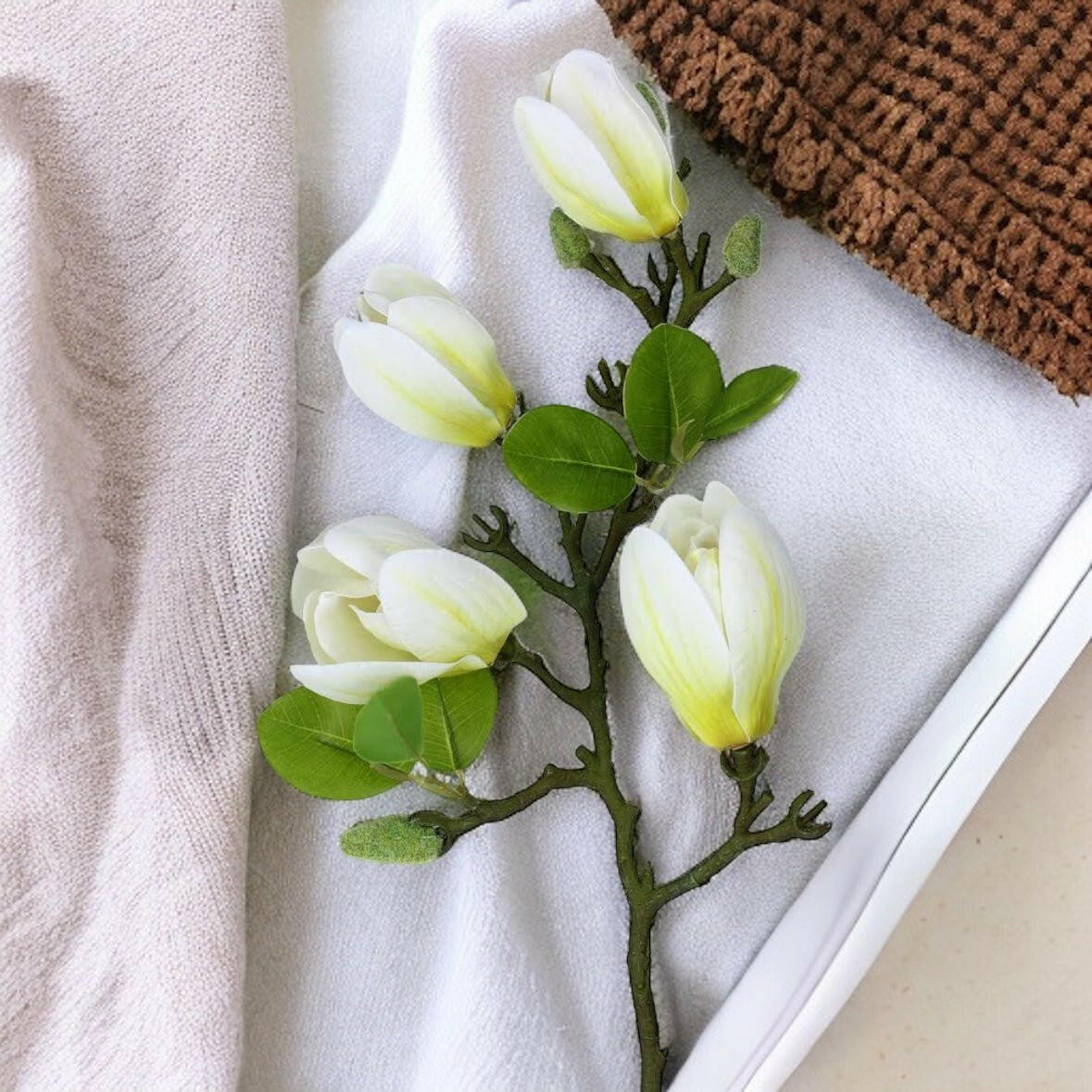 White Magnolia Branch - Persora