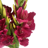 Artificial Pink Gladioli Stem