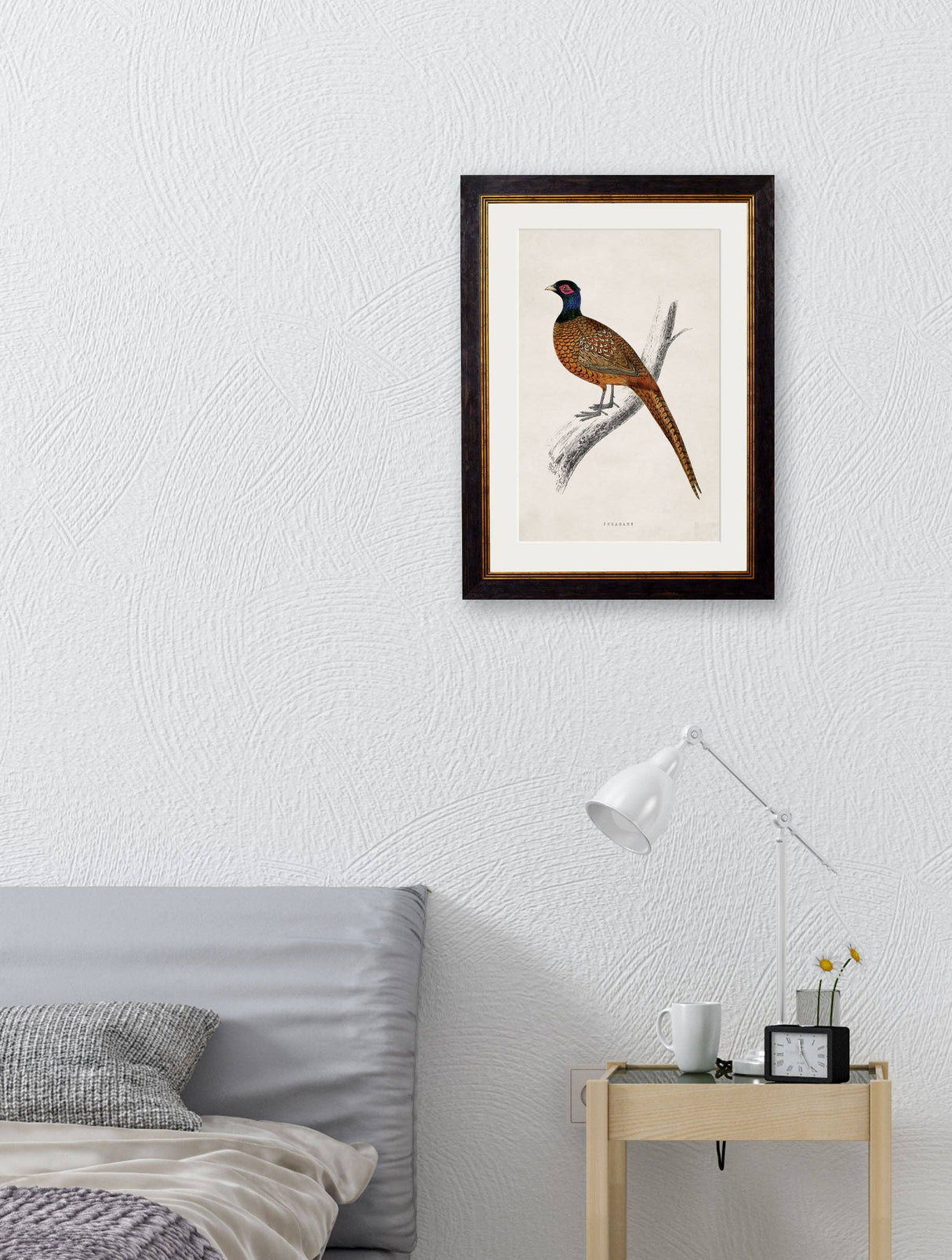 T A Interiors Wall Art & Mirrors - C.1850's Pheasant: Oxford Slim / 50 x 70cm