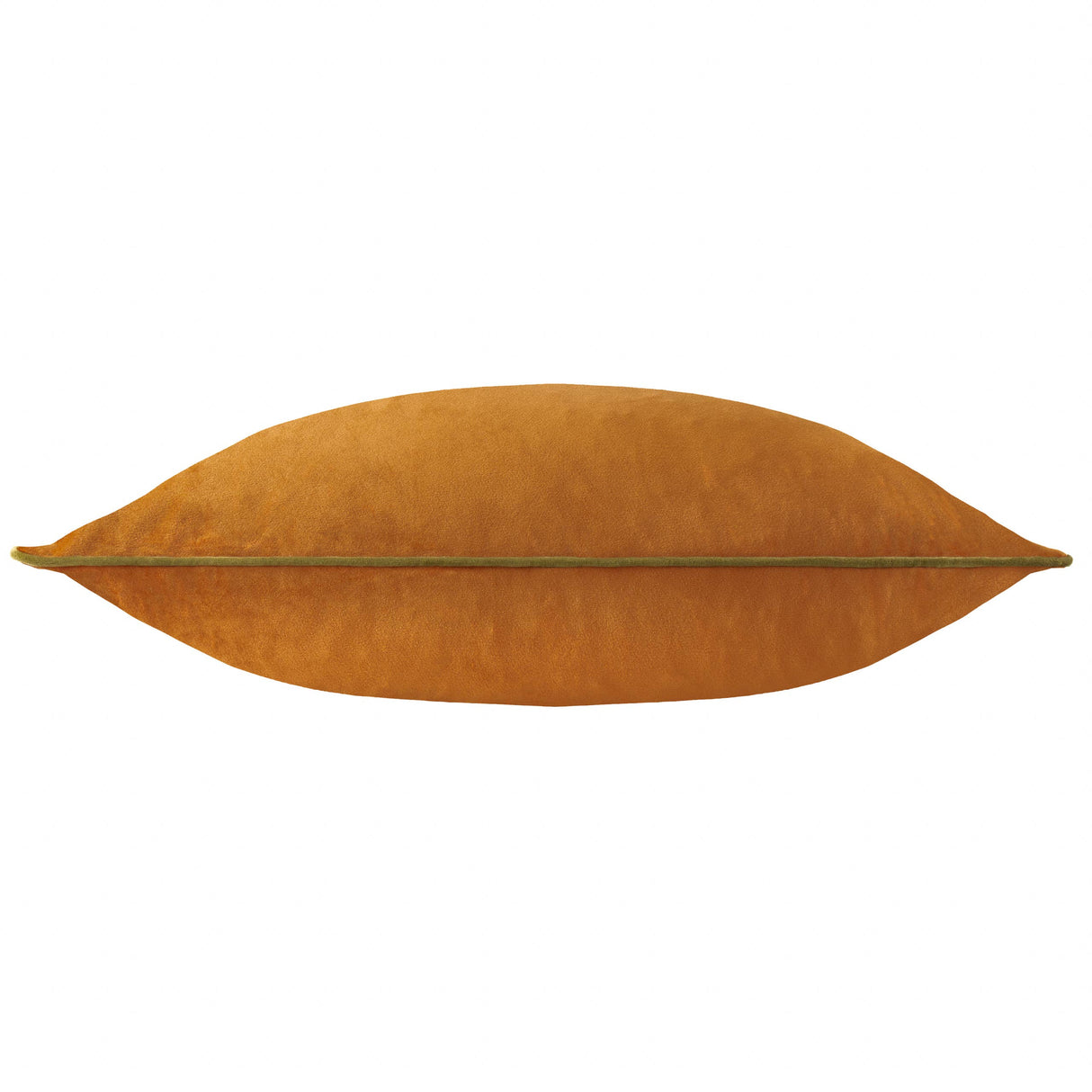 Ginger and Olive Velvet Cushion