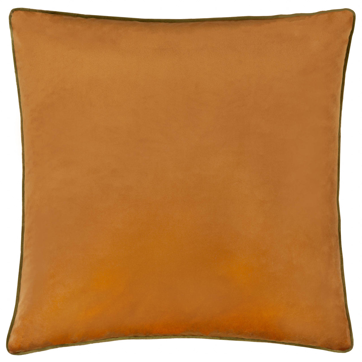 Ginger and Olive Velvet Cushion