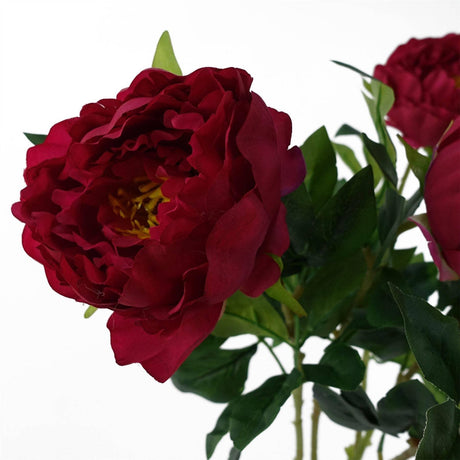 Dark Pink Peony Stem 80cm