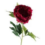 Dark Pink Peony Stem 80cm