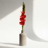 Artificial Orange Gladioli Stem