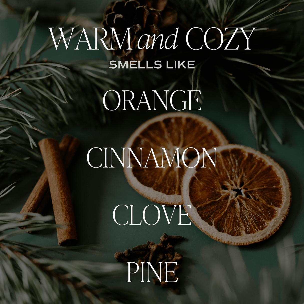 Warm and Cozy Scented Soy Candle
