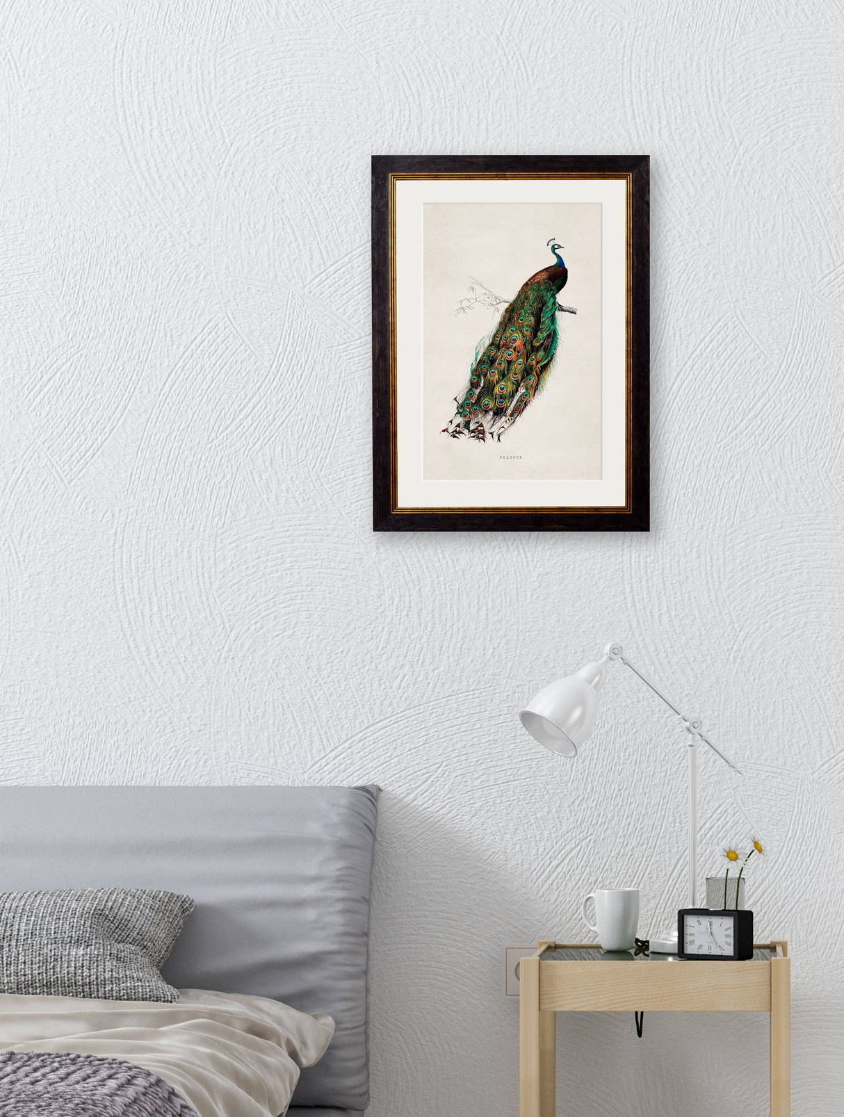 T A Interiors Wall Art & Mirrors - C.1847 Peacock: Oxford Slim / 50 x 70cm
