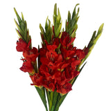 Artificial Orange Gladioli Stem