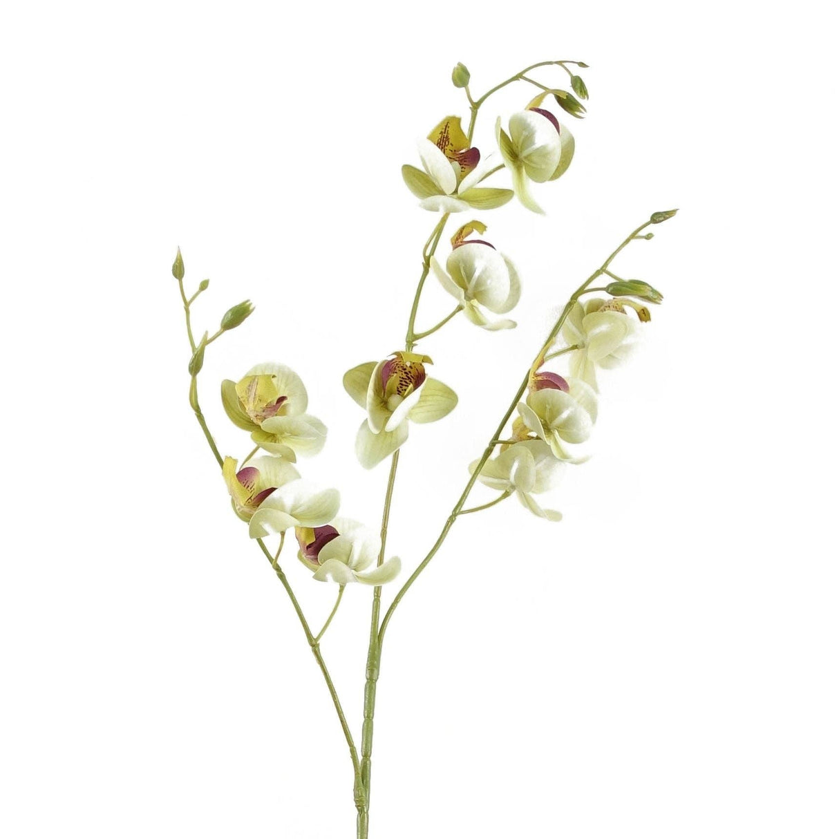 Cream Mini Orchid Stem 80cm