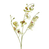 Cream Mini Orchid Stem 80cm