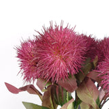 Globe Thistle Purple Ball Artificial Flower Stem – 70cm Faux Floral