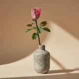 Protea Sugarbush Flower Stem - Pink