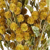 85cm Yellow Artificial Craspedia Stems – Faux Flower Stem