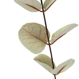 White Eucalyptus Artificial Foliage Stem – 80cm Faux Leaf Spray